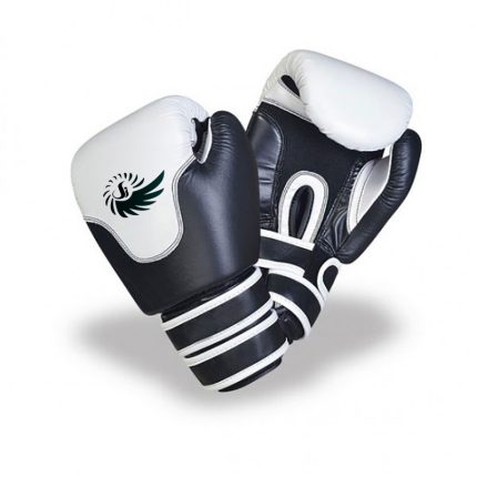 Boxing Glove